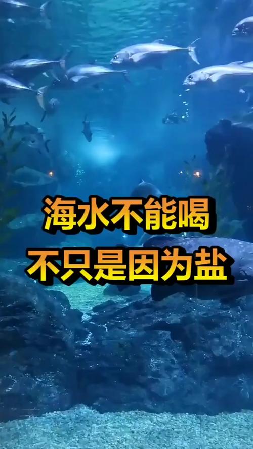 海水为什么不能喝?，海水为什么不能喝 鱼可以吃？-第6张图片-屿企百科网