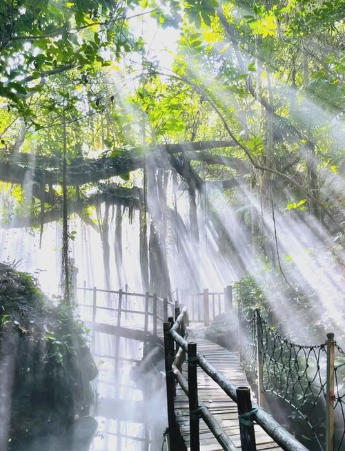 深圳青青世界游玩攻略，深圳青青世界值得去吗？-第1张图片-屿企百科网