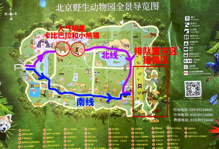 北京大兴野生动物园，北京大兴野生动物园有直达车吗-第2张图片-屿企百科网