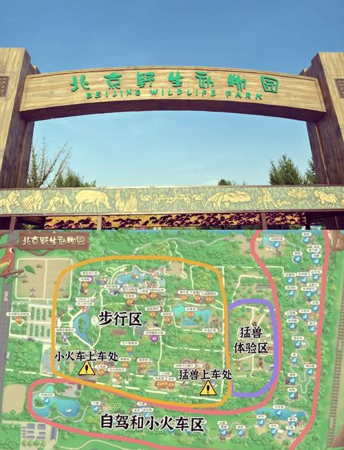北京大兴野生动物园，北京大兴野生动物园有直达车吗-第4张图片-屿企百科网