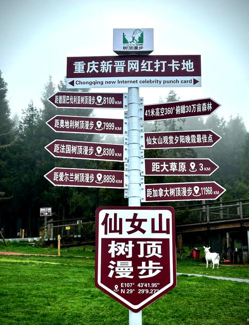 武隆旅游攻略一日游，武隆旅游攻略自驾游？-第8张图片-屿企百科网