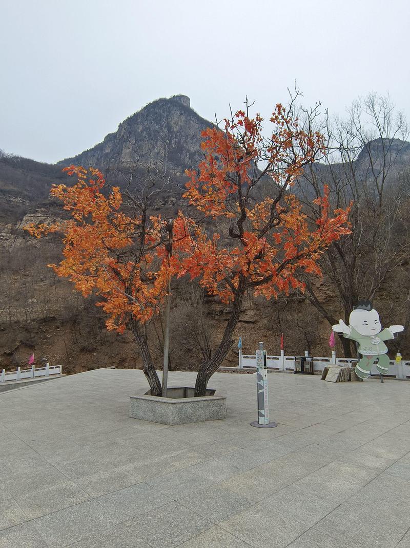 邢台旅游景点一日游？邢台旅游景点一日游攻略？-第4张图片-屿企百科网