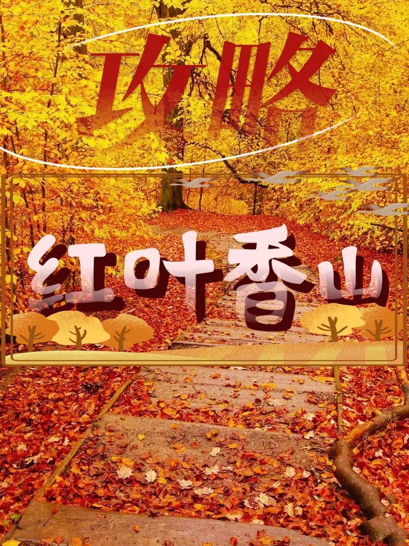 北京香山红叶观赏时间，北京香山红叶最佳观赏地点？-第2张图片-屿企百科网