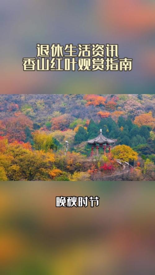 北京香山红叶观赏时间，北京香山红叶最佳观赏地点？-第3张图片-屿企百科网