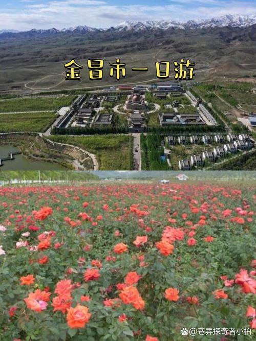 金昌市一周天气预报,金昌市一周天气预报七天-第1张图片-屿企百科网 金昌市一周天气预报,金昌市一周天气预报七天-第1张图片-屿企百科网
