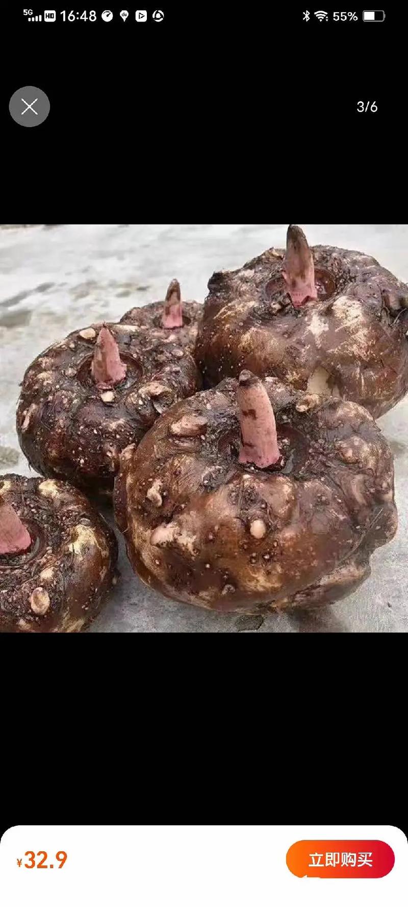 魔芋是什么做的？毛肚魔芋是什么做的？-第3张图片-屿企百科网