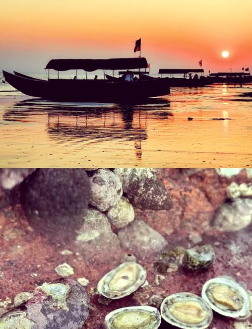 黄岛金沙滩旅游攻略，黄岛金沙滩门票多少钱？-第4张图片-屿企百科网