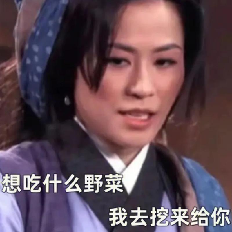 挖野菜是什么意思梗，挖野菜是否违法？-第3张图片-屿企百科网