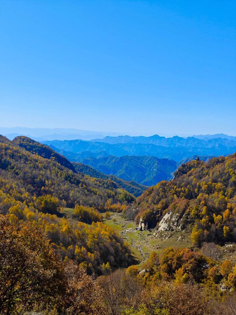 石家庄不要门票的景点，石家庄不收费好玩儿的地方？-第5张图片-屿企百科网