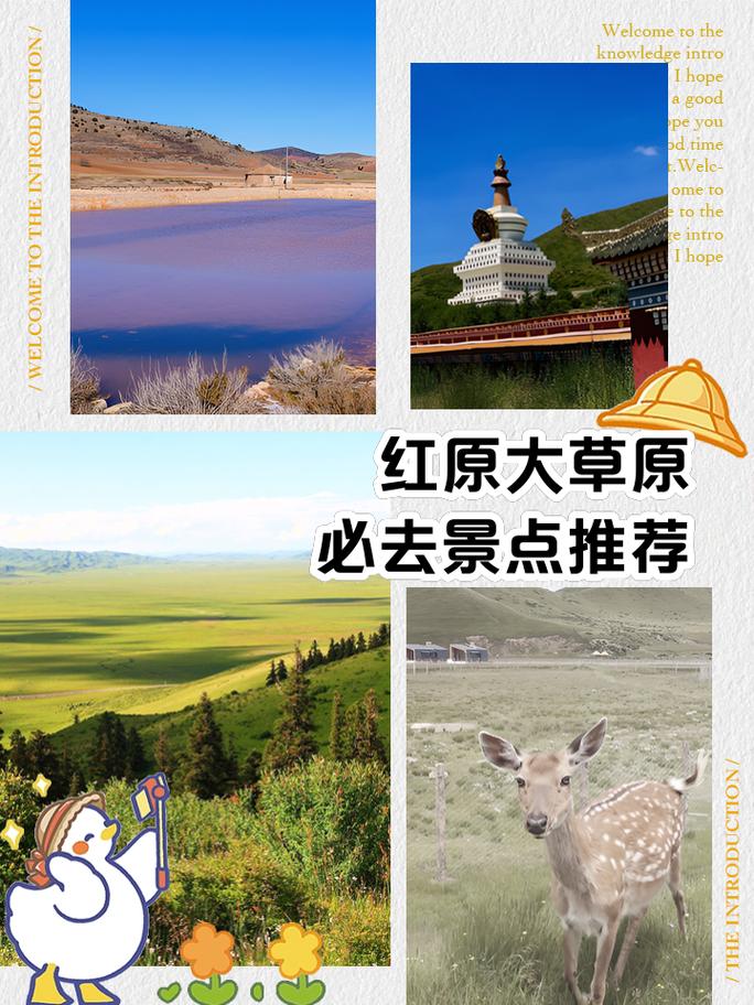 红原大草原旅游景点，红原大草原旅游景点门票？-第3张图片-屿企百科网
