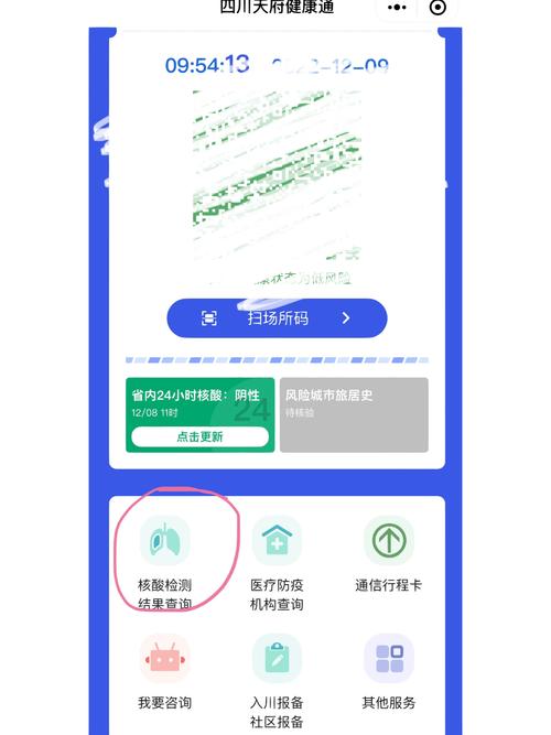 昨天做的核酸检测为什么查不到？为什么核酸报告昨天查有今天就没了？-第4张图片-屿企百科网