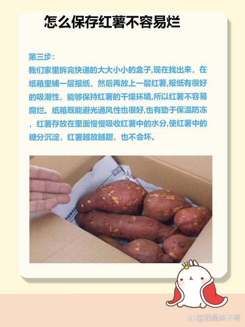 保存红薯的方法一年不坏，怎样保存红薯一年不坏？-第7张图片-屿企百科网