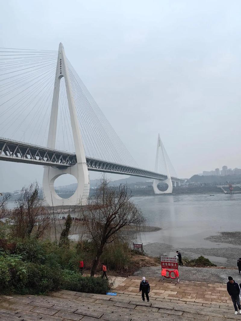 巴南大渡口限车限号不限号，重庆大渡口区车牌？-第4张图片-屿企百科网