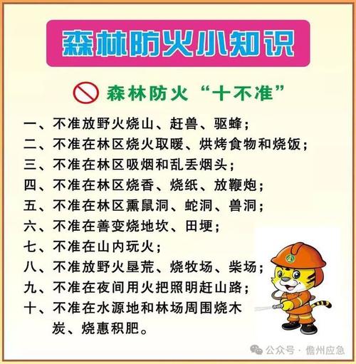 森林防火小常识8条，森林防火须知知识-第2张图片-屿企百科网