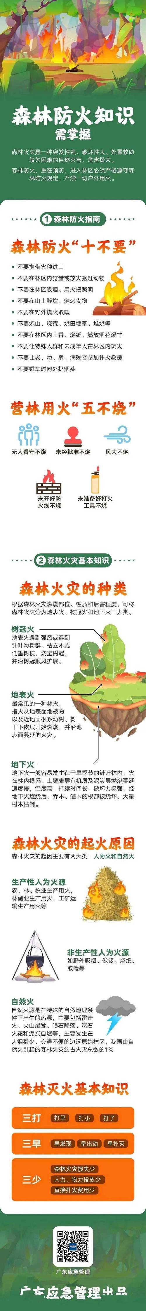 森林防火小常识8条，森林防火须知知识-第6张图片-屿企百科网