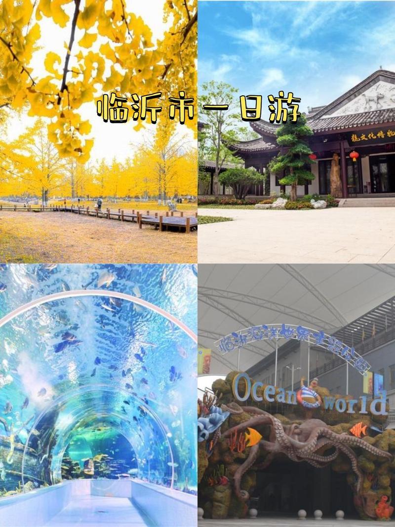 山东省临沂市天气，山东省临沂市天气情况？-第3张图片-屿企百科网