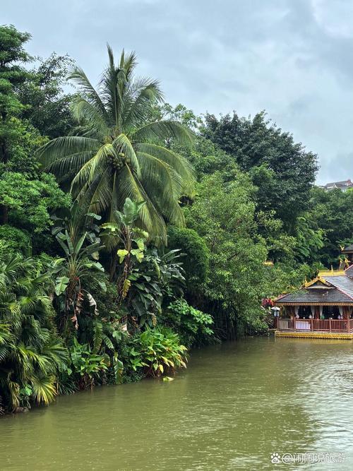 西双版纳美景描述？描述西双版纳美景经典短句？-第2张图片-屿企百科网