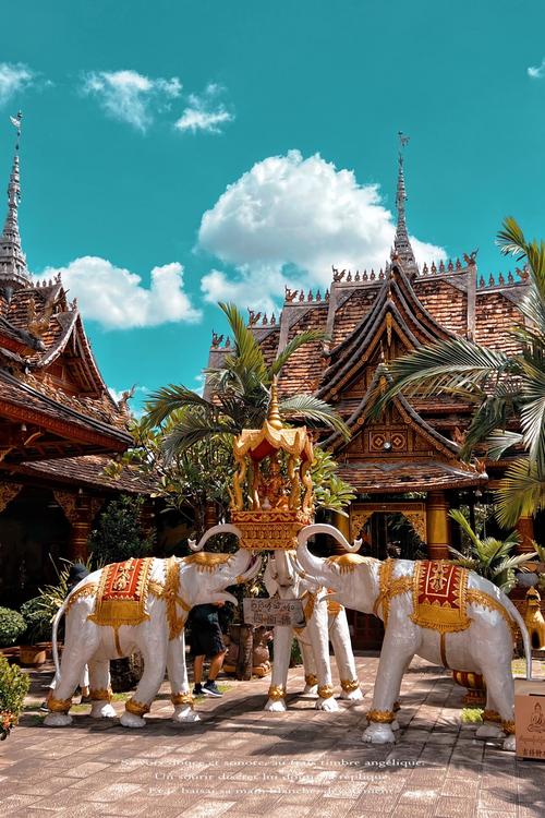 西双版纳美景描述？描述西双版纳美景经典短句？-第6张图片-屿企百科网