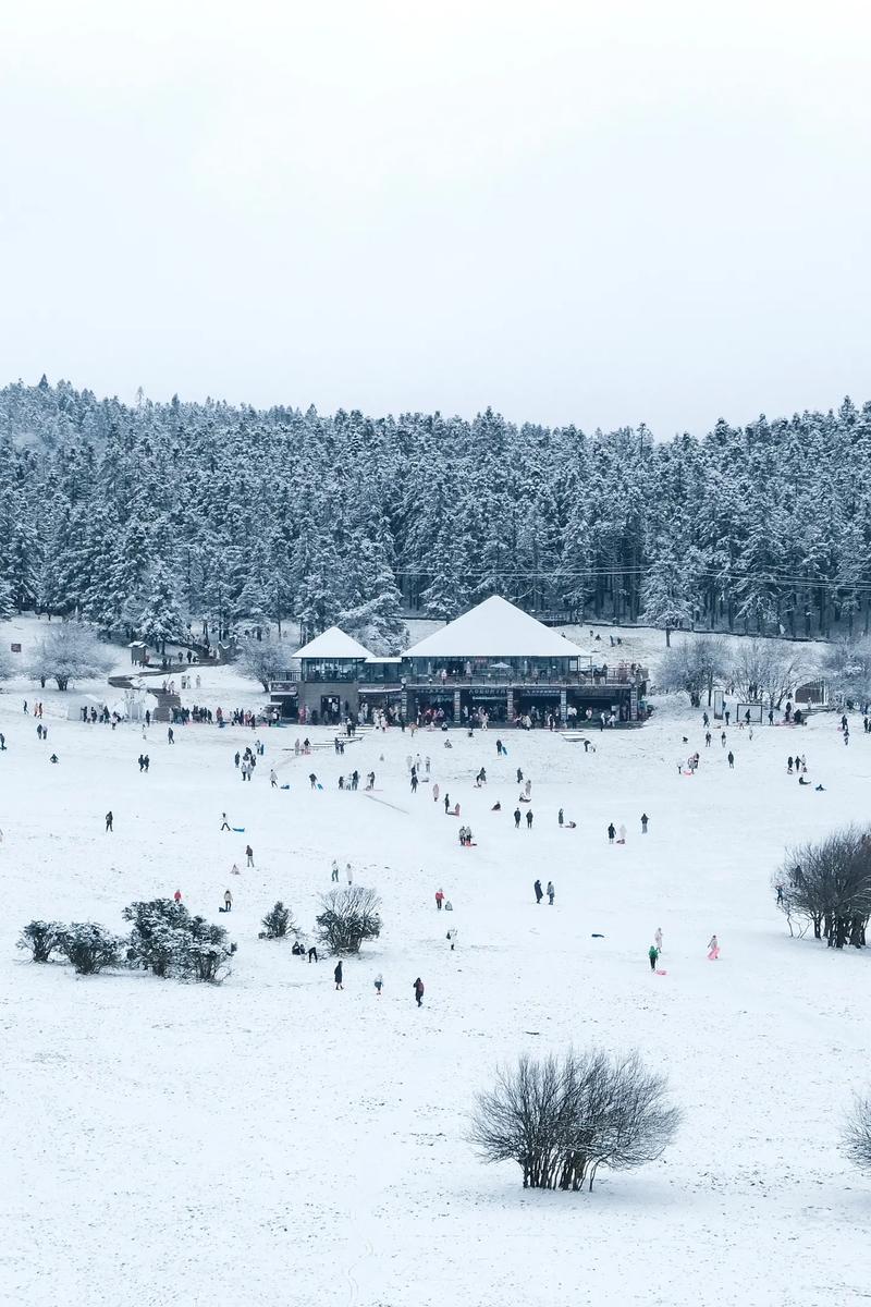 金佛山可以看雪吗?？金佛山赏雪去哪个坡？-第3张图片-屿企百科网