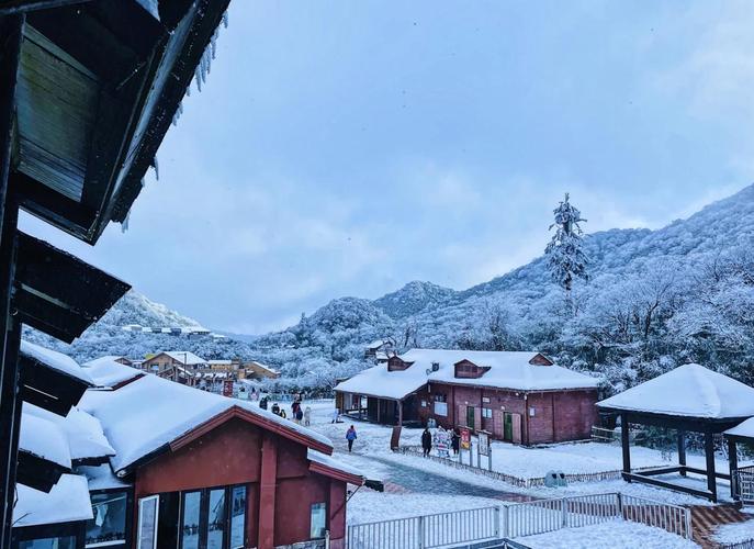 金佛山可以看雪吗?？金佛山赏雪去哪个坡？-第4张图片-屿企百科网