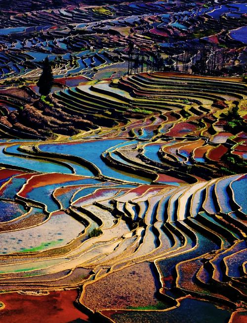 红河州旅游景点大全一日游攻略？红河州旅游攻略自由行路线推荐？-第2张图片-屿企百科网