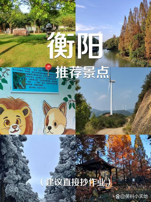 衡阳旅游景点攻略大全最新，衡阳旅游景点攻略大全最新免费？-第2张图片-屿企百科网