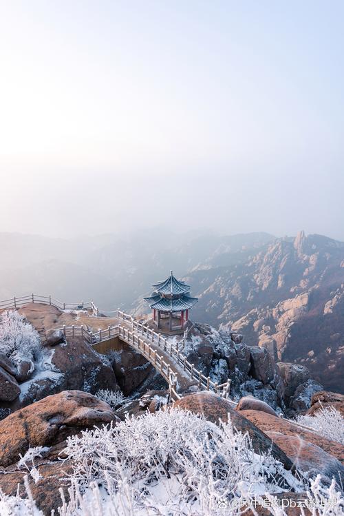 冬季山东旅游景点，冬季山东旅游景点推荐国内-第4张图片-屿企百科网