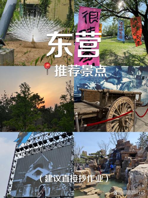 东营免费景点排名？东营哪里好玩不收费？