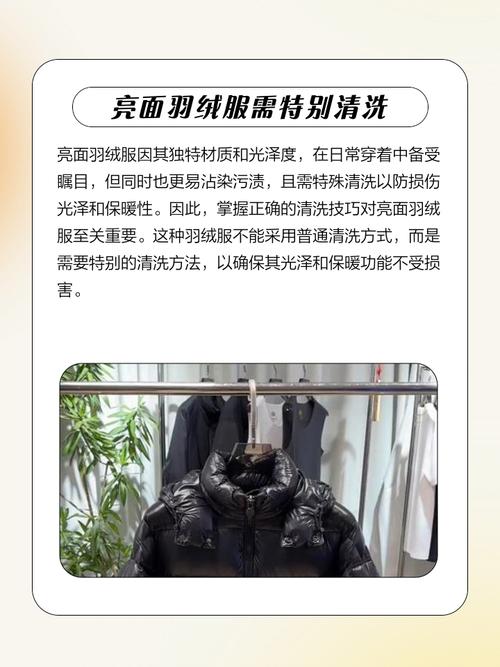 亮皮羽绒服脏了怎么清洗？亮皮羽绒服脏了怎么清洗掉？-第2张图片-屿企百科网