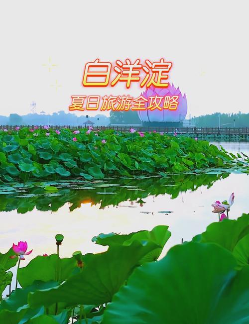 保定旅游攻略一日游景点大全，保定游玩攻略一天-第4张图片-屿企百科网