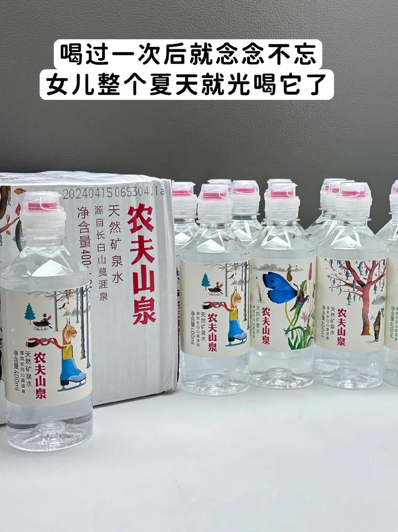 长白山旅游形象设计，长白山旅游logo-第2张图片-屿企百科网