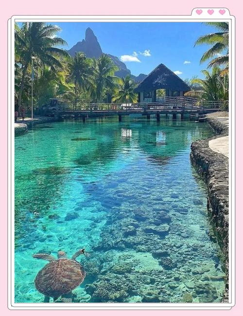 大溪地在那?，大溪地在哪里-第5张图片-屿企百科网