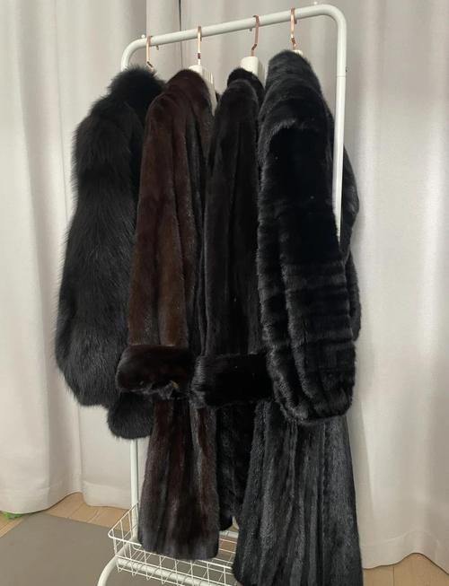 买貂皮大衣为何建议黑色，貂皮大衣黑色的好还是彩色的好？-第1张图片-屿企百科网
