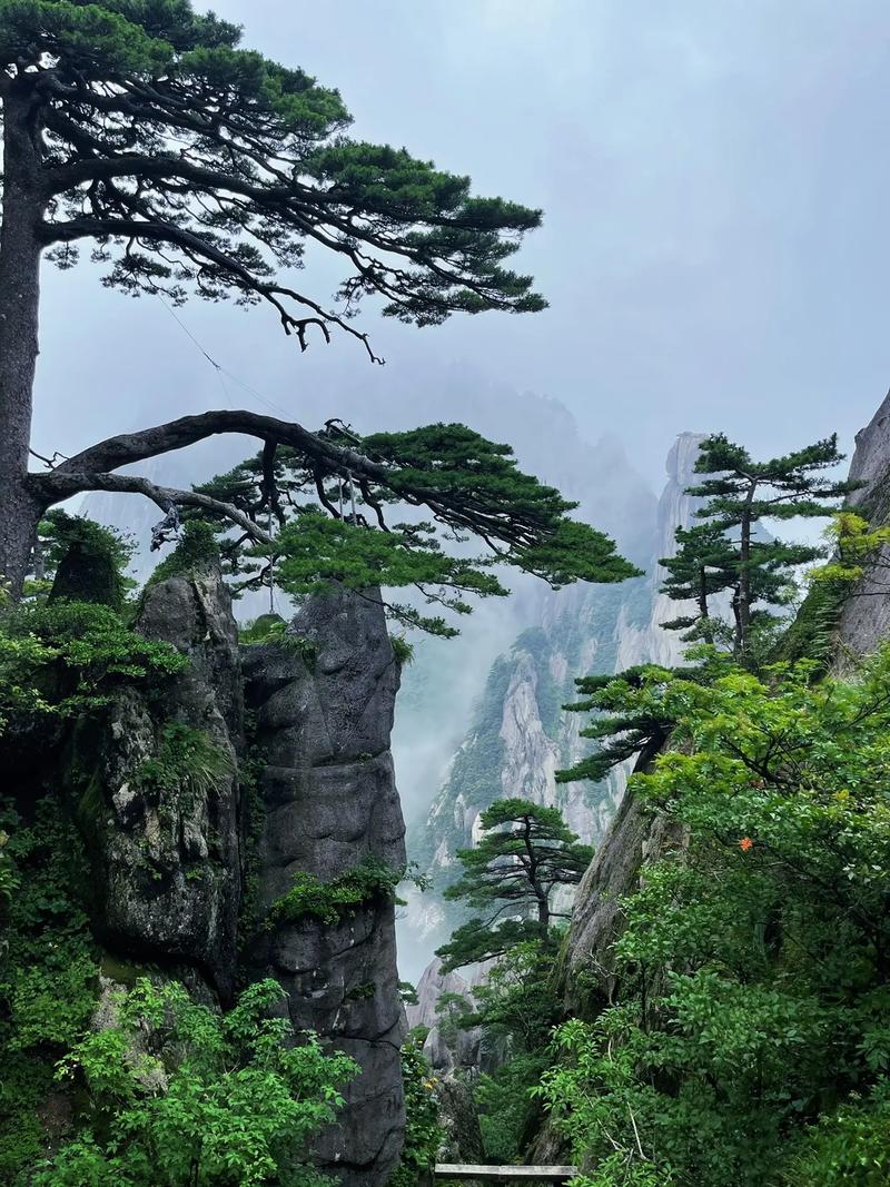 安徽黄山旅游景点推荐一下？安徽黄山旅游景区？-第2张图片-屿企百科网