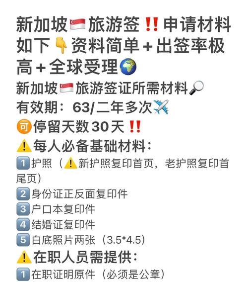 新加坡旅游签证需要准备哪些材料和手续，新加坡旅游签证办理要多久