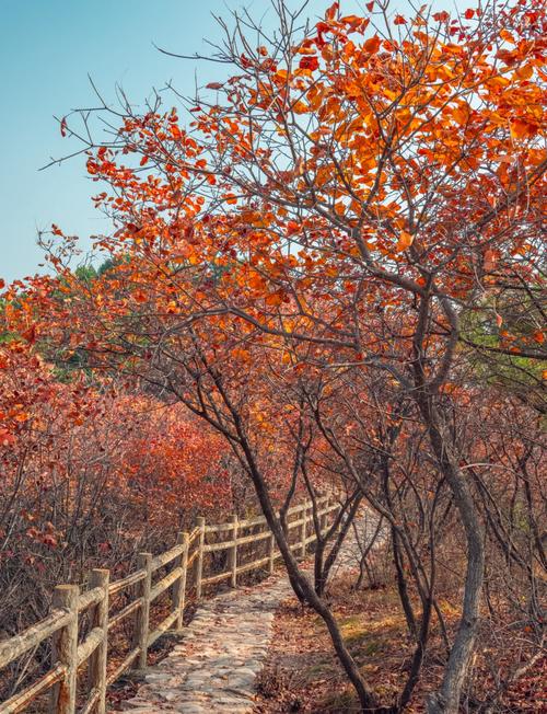 平谷旅游攻略自驾路线，平谷旅游景点大全排名 自驾？-第2张图片-屿企百科网