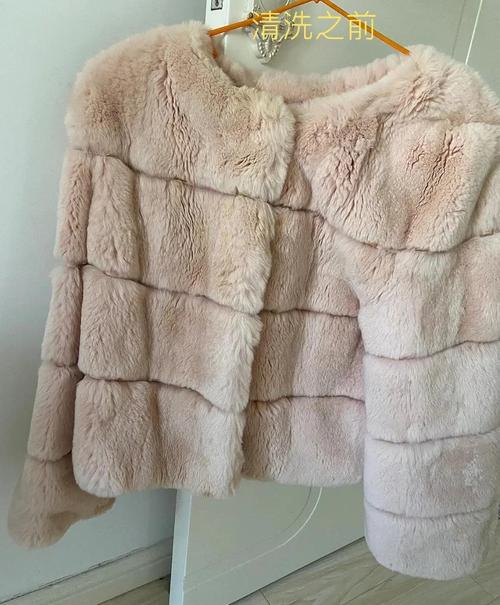 兔毛皮草脏了怎么清洗，兔毛皮草不掉毛小窍门-第1张图片-屿企百科网