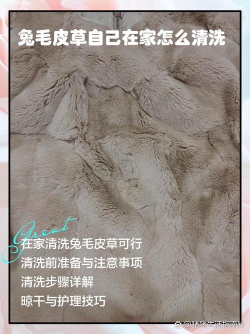 兔毛皮草脏了怎么清洗，兔毛皮草不掉毛小窍门-第2张图片-屿企百科网