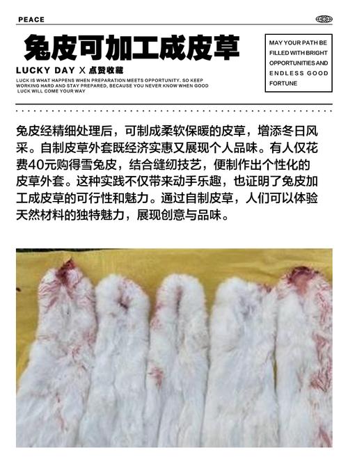 兔毛衣服发霉了怎么办，兔毛衣服泛黄怎么清洗？-第3张图片-屿企百科网