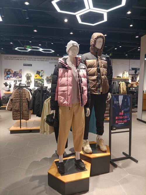 北面羽绒服怎么突然火了？北面羽绒服怎么流行起来的？-第5张图片-屿企百科网