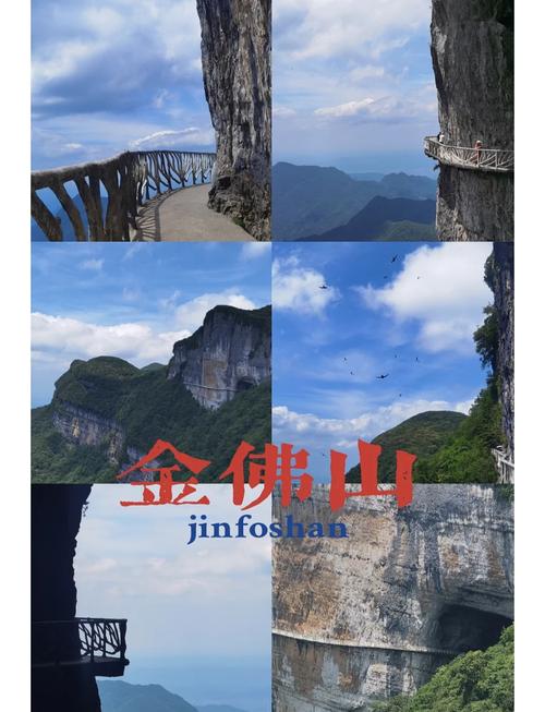 金佛山自驾旅游攻略，金佛山自驾旅游攻略大全-第4张图片-屿企百科网