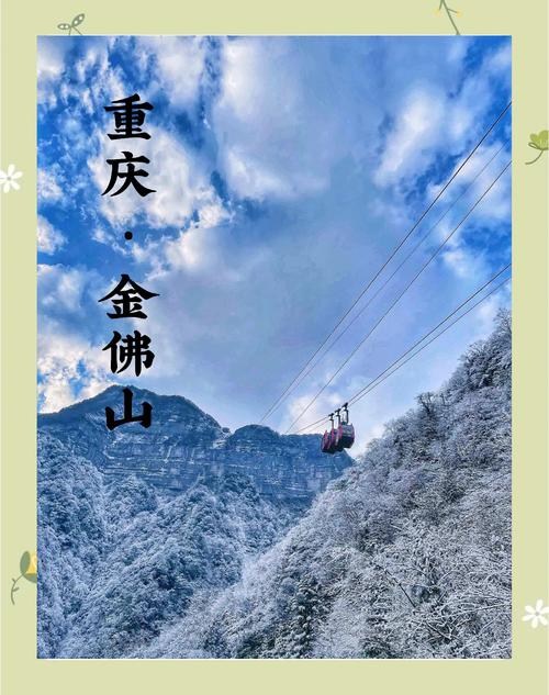 金佛山自驾旅游攻略，金佛山自驾旅游攻略大全-第5张图片-屿企百科网