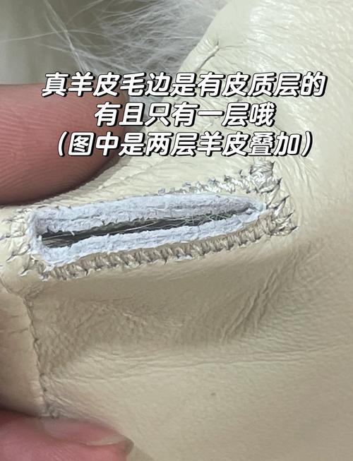 真皮皮衣为什么只能标羊皮革，为什么真皮皮衣费用相差很大？-第1张图片-屿企百科网
