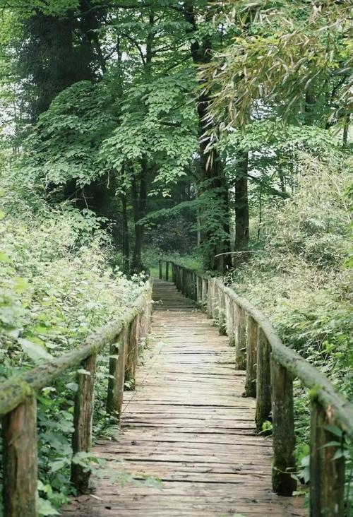 四川绵竹最低气温，绵竹比较高温度多少-第1张图片-屿企百科网