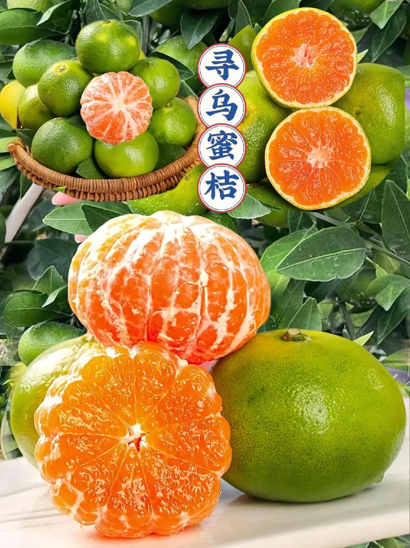 寻乌属于什么气候带，寻乌是在江西哪个城市？-第1张图片-屿企百科网