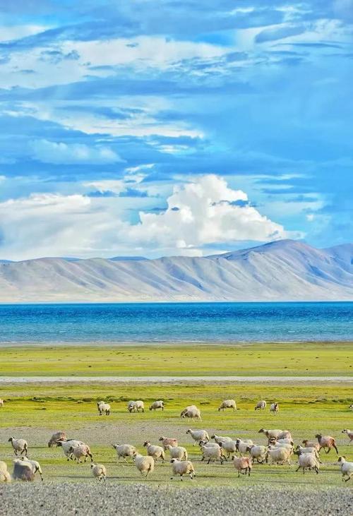 那曲市前十景点，那曲旅游必去景点推荐-第5张图片-屿企百科网