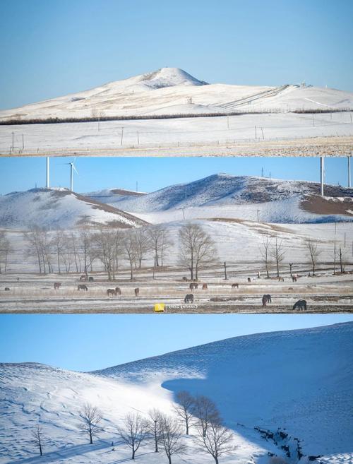 沽源极端最低气温？沽源最冷多少度？-第6张图片-屿企百科网