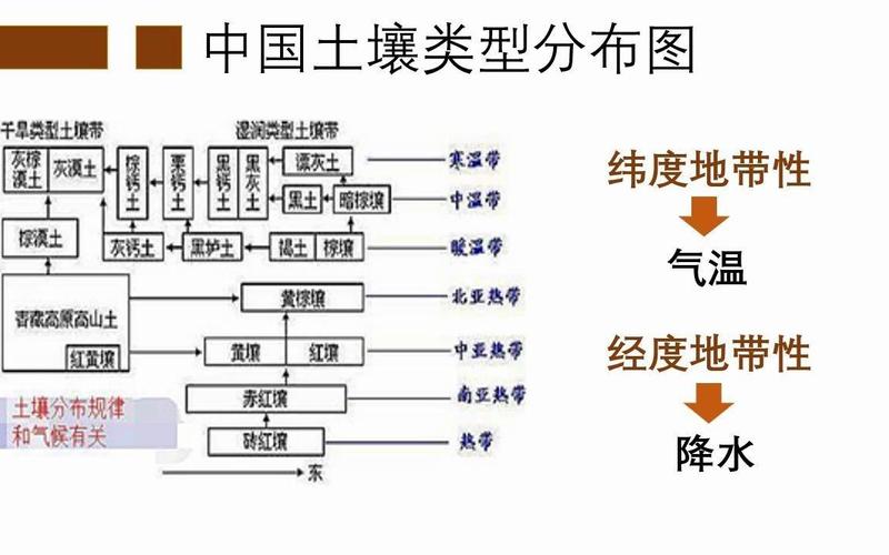 气候对植被土壤的影响，气候对植被生长的影响？