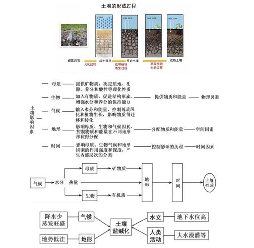 气候对植被土壤的影响，气候对植被生长的影响？-第2张图片-屿企百科网