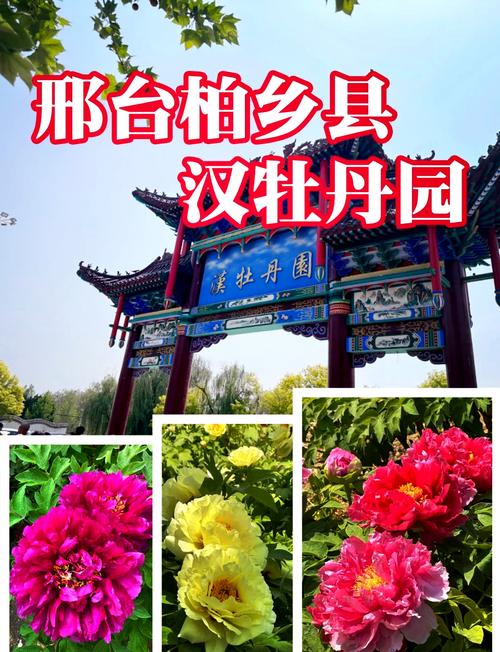 承德旅游学院领导班子简历最新？承德旅游学院什么级别？-第3张图片-屿企百科网